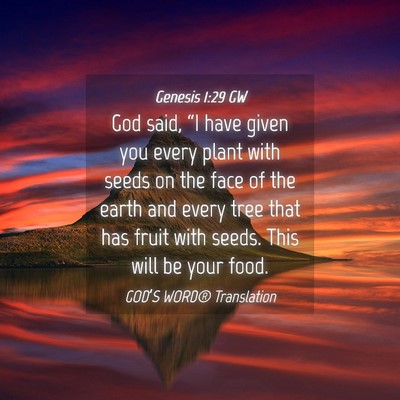 Picture 04 - Genesis 1:29 GW - God said, “I have given you every plant with - Bible Verse Picture