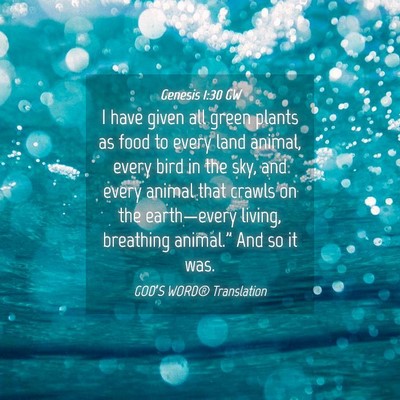 Picture 04 - Genesis 1:30 GW - I have given all green plants as food to every - Bible Verse Picture