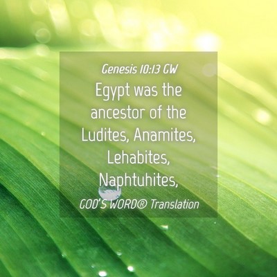 Picture 04 - Genesis 10:13 GW - Egypt was the ancestor of the Ludites, Anamites, - Bible Verse Picture