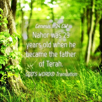 Picture 04 - Genesis 11:24 GW - Nahor was 29 years old when he became the father - Bible Verse Picture