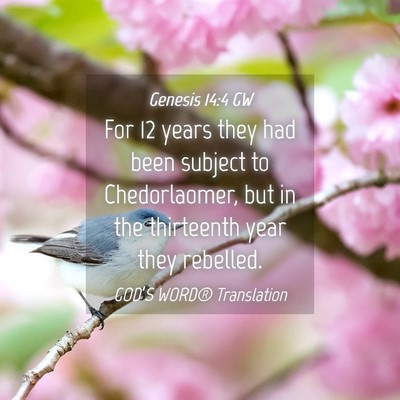 Picture 04 - Genesis 14:4 GW - For 12 years they had been subject to - Bible Verse Picture