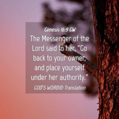 Picture 04 - Genesis 16:9 GW - The Messenger of the Lord said to her, “Go back - Bible Verse Picture