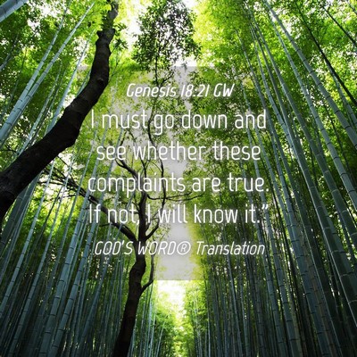 Picture 04 - Genesis 18:21 GW - I must go down and see whether these complaints - Bible Verse Picture