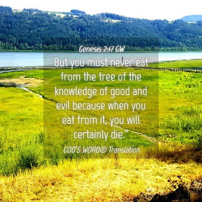 Picture 04 - Genesis 2:17 GW - But you must never eat from the tree of the - Bible Verse Picture