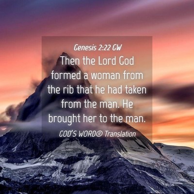 Picture 04 - Genesis 2:22 GW - Then the Lord God formed a woman from the rib - Bible Verse Picture