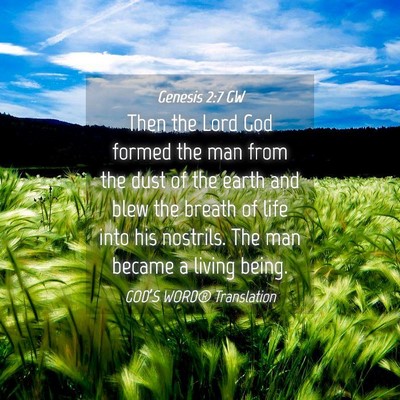 Picture 04 - Genesis 2:7 GW - Then the Lord God formed the man from the dust of - Bible Verse Picture