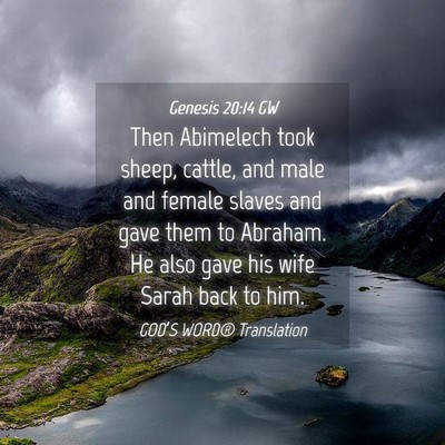 Picture 04 - Genesis 20:14 GW - Then Abimelech took sheep, cattle, and male and - Bible Verse Picture