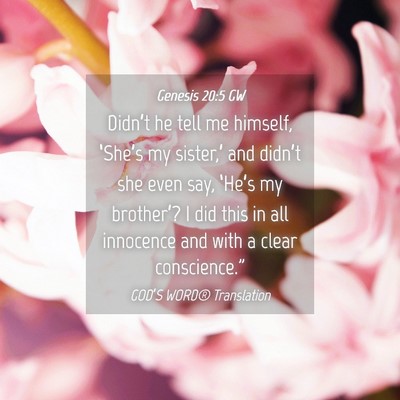 Picture 04 - Genesis 20:5 GW - Didn’t he tell me himself, ‘She’s my - Bible Verse Picture