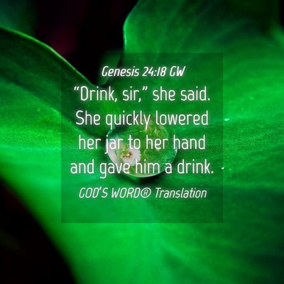 Picture 04 - Genesis 24:18 GW - “Drink, sir,” she said. She quickly lowered - Bible Verse Picture