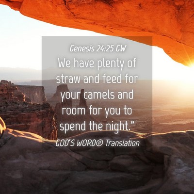 Picture 04 - Genesis 24:25 GW - We have plenty of straw and feed for your camels - Bible Verse Picture