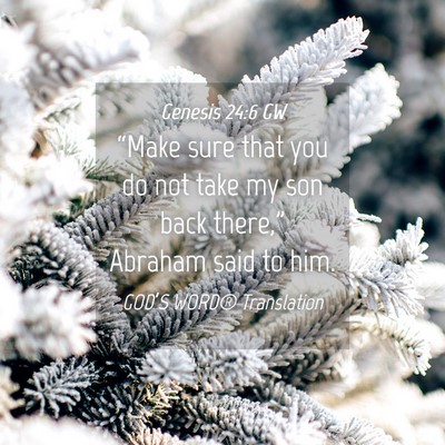 Picture 04 - Genesis 24:6 GW - “Make sure that you do not take my son back - Bible Verse Picture
