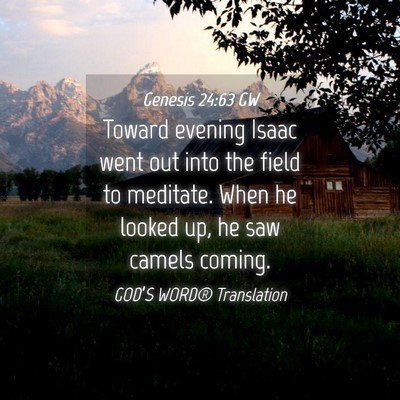 Picture 04 - Genesis 24:63 GW - Toward evening Isaac went out into the field to - Bible Verse Picture