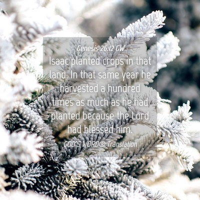 Picture 04 - Genesis 26:12 GW - Isaac planted crops in that land. In that same - Bible Verse Picture