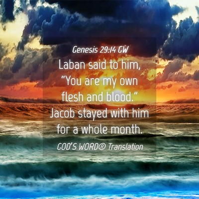 Picture 04 - Genesis 29:14 GW - Laban said to him, “You are my own flesh and - Bible Verse Picture
