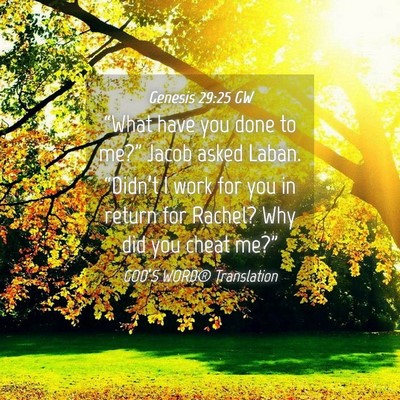 Picture 04 - Genesis 29:25 GW - “What have you done to me?” Jacob asked - Bible Verse Picture