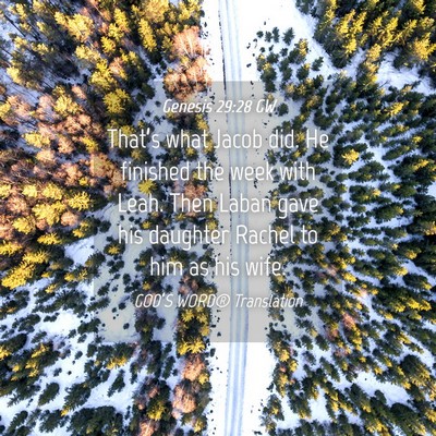 Picture 04 - Genesis 29:28 GW - That’s what Jacob did. He finished the week - Bible Verse Picture