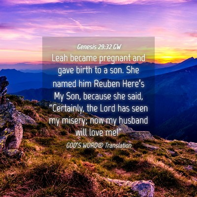 Picture 04 - Genesis 29:32 GW - Leah became pregnant and gave birth to a son. She - Bible Verse Picture
