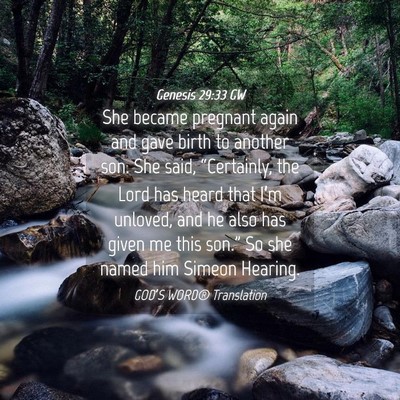 Picture 04 - Genesis 29:33 GW - She became pregnant again and gave birth to - Bible Verse Picture