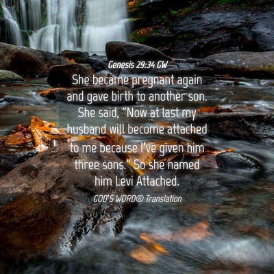 Picture 04 - Genesis 29:34 GW - She became pregnant again and gave birth to - Bible Verse Picture