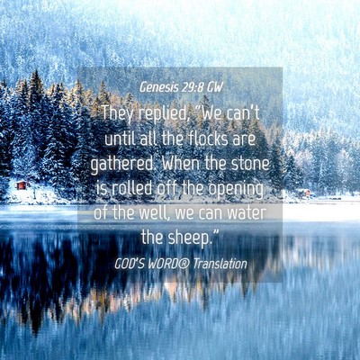 Picture 04 - Genesis 29:8 GW - They replied, “We can’t until all the flocks - Bible Verse Picture