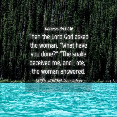Picture 04 - Genesis 3:13 GW - Then the Lord God asked the woman, “What have - Bible Verse Picture