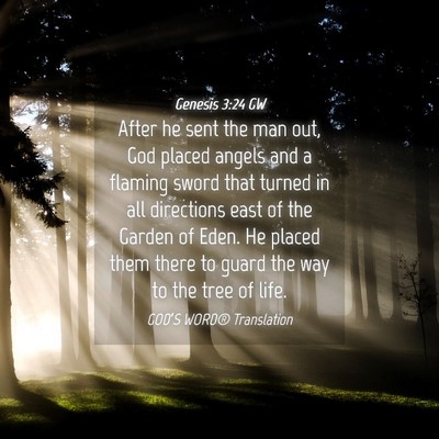 Picture 04 - Genesis 3:24 GW - After he sent the man out, God placed angels and - Bible Verse Picture