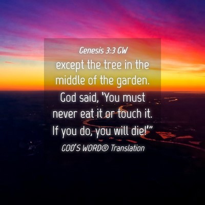Picture 04 - Genesis 3:3 GW - except the tree in the middle of the garden. God - Bible Verse Picture