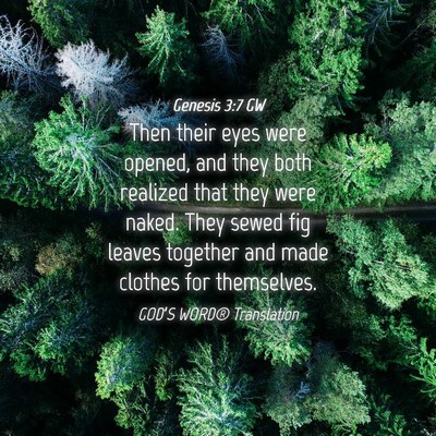 Picture 04 - Genesis 3:7 GW - Then their eyes were opened, and they both - Bible Verse Picture