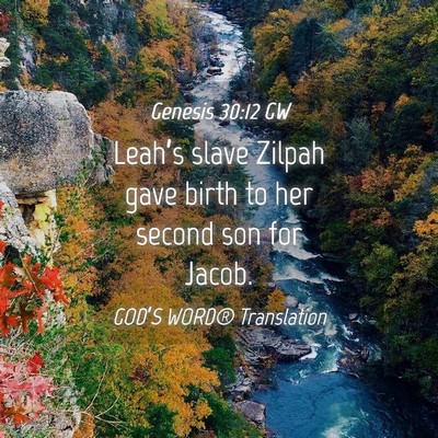 Picture 04 - Genesis 30:12 GW - Leah’s slave Zilpah gave birth to her second - Bible Verse Picture