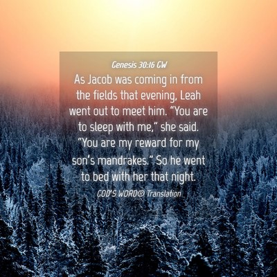 Picture 04 - Genesis 30:16 GW - As Jacob was coming in from the fields that - Bible Verse Picture