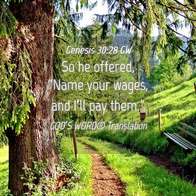 Picture 04 - Genesis 30:28 GW - So he offered, “Name your wages, and I’ll pay - Bible Verse Picture