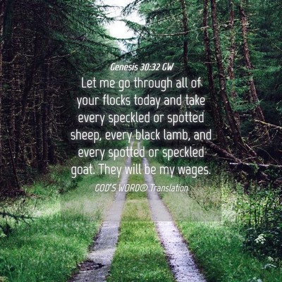 Picture 04 - Genesis 30:32 GW - Let me go through all of your flocks today and - Bible Verse Picture