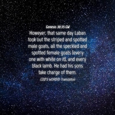Picture 04 - Genesis 30:35 GW - However, that same day Laban took out the striped - Bible Verse Picture