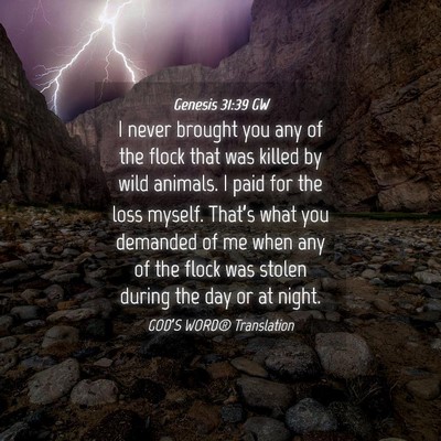 Picture 04 - Genesis 31:39 GW - I never brought you any of the flock that was - Bible Verse Picture