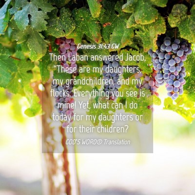 Picture 04 - Genesis 31:43 GW - Then Laban answered Jacob, “These are my - Bible Verse Picture