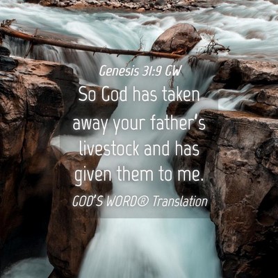 Picture 04 - Genesis 31:9 GW - So God has taken away your father’s livestock - Bible Verse Picture