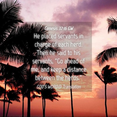 Picture 04 - Genesis 32:16 GW - He placed servants in charge of each herd. Then - Bible Verse Picture