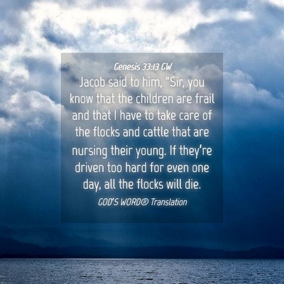 Picture 04 - Genesis 33:13 GW - Jacob said to him, “Sir, you know that the - Bible Verse Picture