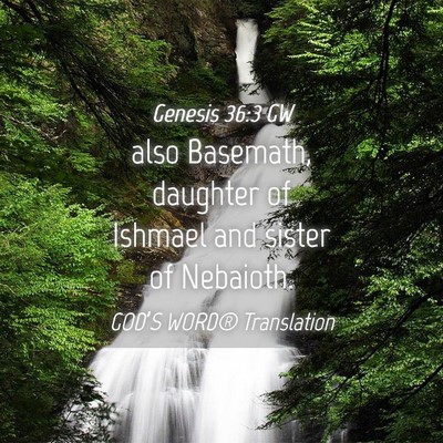 Picture 04 - Genesis 36:3 GW - also Basemath, daughter of Ishmael and sister of - Bible Verse Picture
