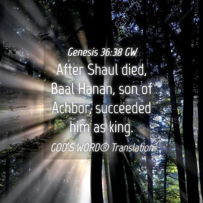 Picture 04 - Genesis 36:38 GW - After Shaul died, Baal Hanan, son of Achbor, - Bible Verse Picture