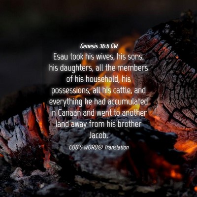 Picture 04 - Genesis 36:6 GW - Esau took his wives, his sons, his daughters, all - Bible Verse Picture