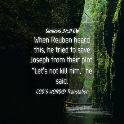 Picture 04 - Genesis 37:21 GW - When Reuben heard this, he tried to save Joseph - Bible Verse Picture
