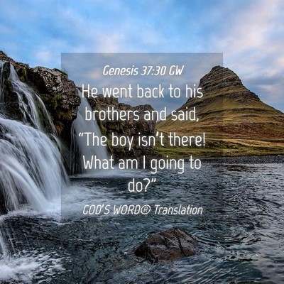 Picture 04 - Genesis 37:30 GW - He went back to his brothers and said, “The boy - Bible Verse Picture