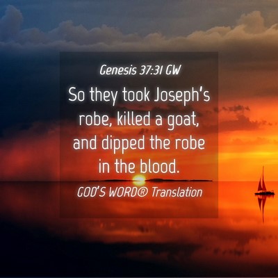 Picture 04 - Genesis 37:31 GW - So they took Joseph’s robe, killed a goat, and - Bible Verse Picture