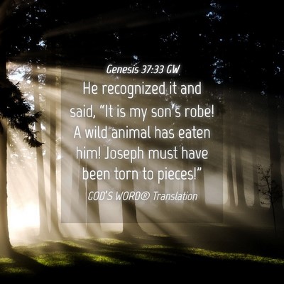 Picture 04 - Genesis 37:33 GW - He recognized it and said, “It is my son’s - Bible Verse Picture