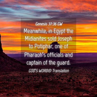 Picture 04 - Genesis 37:36 GW - Meanwhile, in Egypt the Midianites sold Joseph to - Bible Verse Picture
