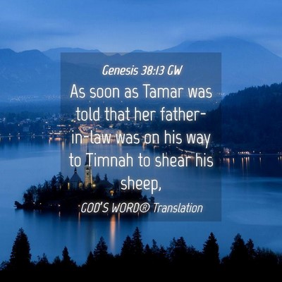 Picture 04 - Genesis 38:13 GW - As soon as Tamar was told that her father-in-law - Bible Verse Picture