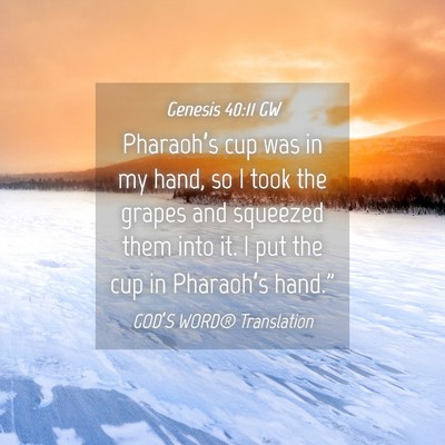 Picture 04 - Genesis 40:11 GW - Pharaoh’s cup was in my hand, so I took the - Bible Verse Picture