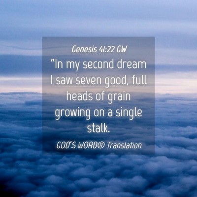 Picture 04 - Genesis 41:22 GW - “In my second dream I saw seven good, full - Bible Verse Picture