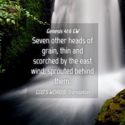 Picture 04 - Genesis 41:6 GW - Seven other heads of grain, thin and scorched by - Bible Verse Picture